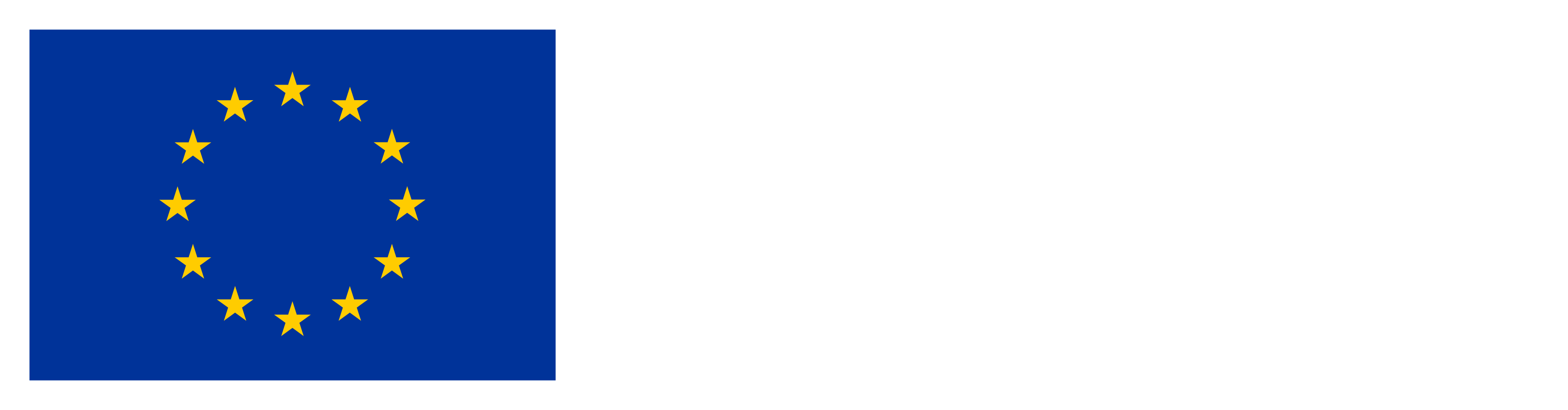 ES_Financiado_por_la_Unión_Europea_RGB_NEG